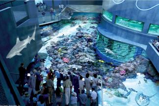 baltimore aquarium online tour